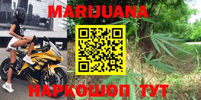 spice Кингисепп