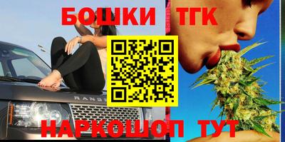 гашик Кандалакша