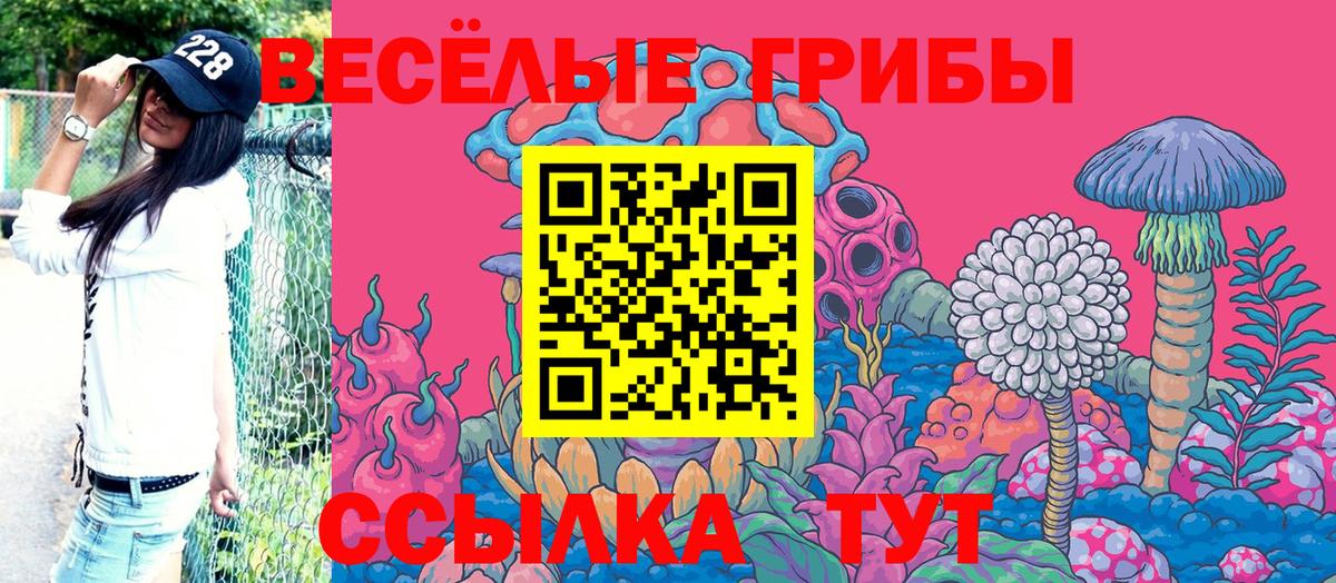 Галлюциногенные грибы мицелий  Галлюциногенные грибы GOLDEN TEACHER  Котовск  Вход с VPN 