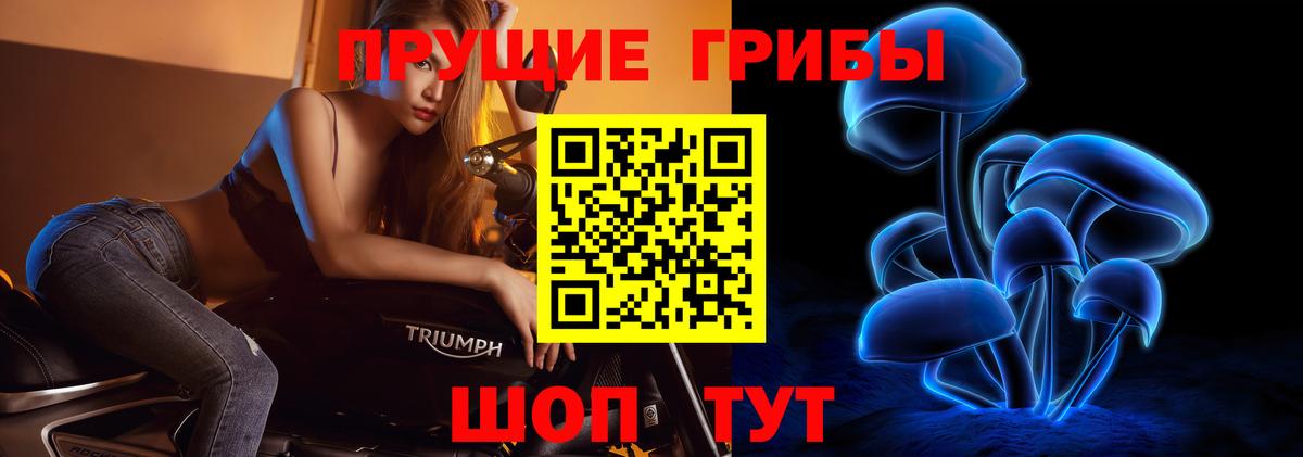 Псилоцибиновые грибы прущие грибы Котовск